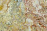 Polished, Crazy Lace Agate Slab - Western Australia #132932-1